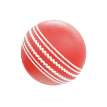 Cricket Ball Icon